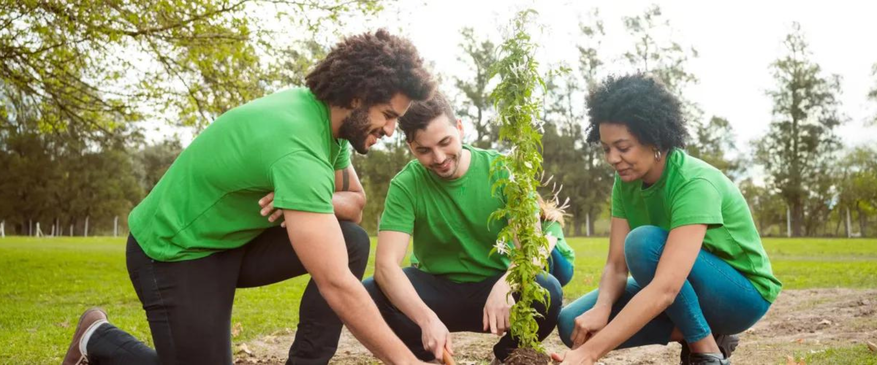 NAR to plant 1.5 million trees