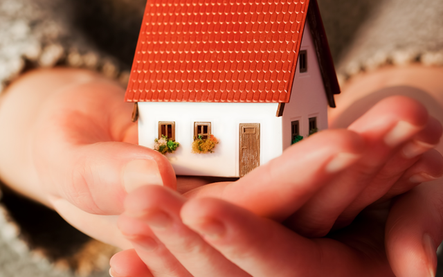 hands holding a model home